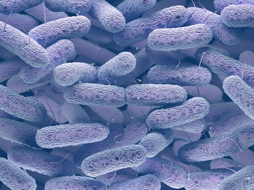 Pluralibacter gergoviae in Kosmetika - BAV Institut Offenburg